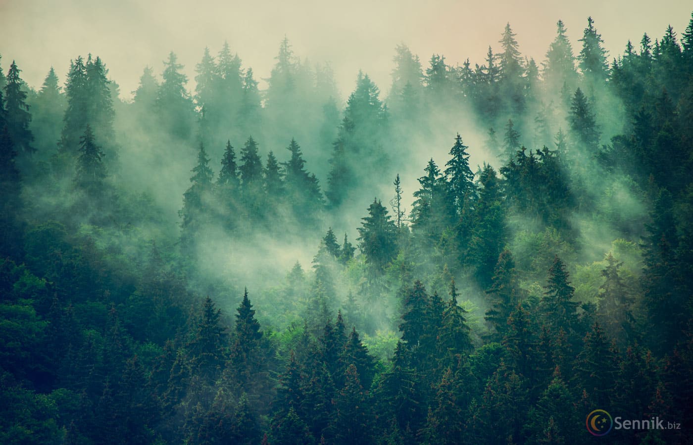 Slot Makinesi Frekans Analizi: Kazanç Potansiyelinizi Artırın